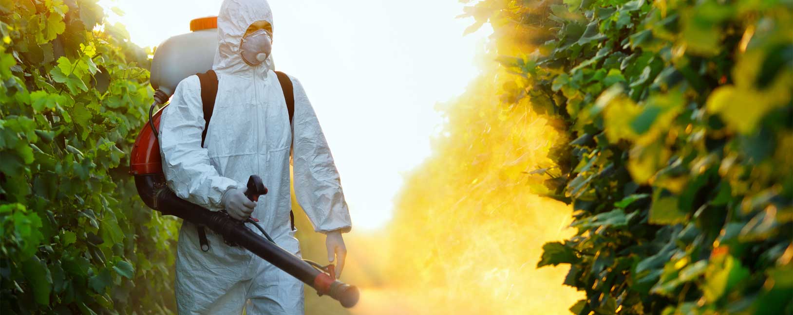 Vinaora Nivo Slider 3.x